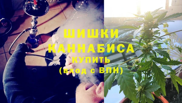 мет Арсеньев