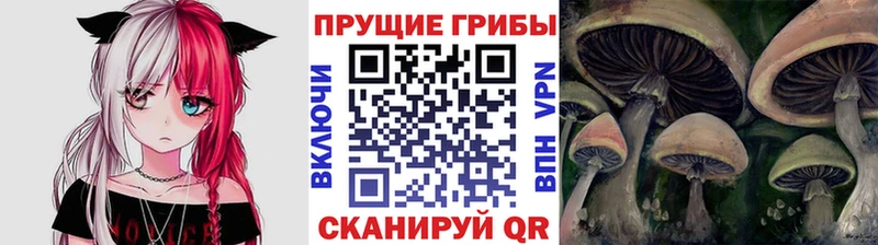 Псилоцибиновые грибы GOLDEN TEACHER Горячий Ключ